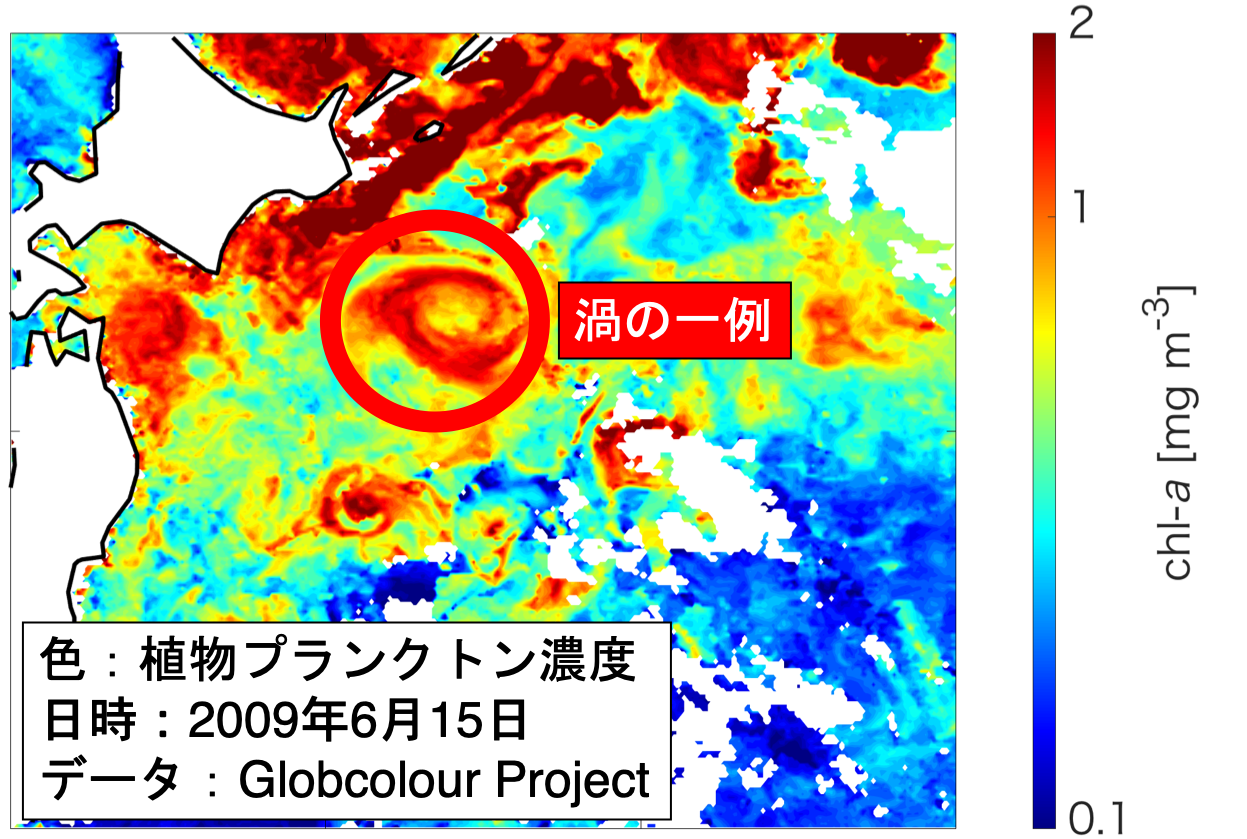 コース: 海洋中規模渦：海の高気圧・低気圧 | LASBOS Moodle